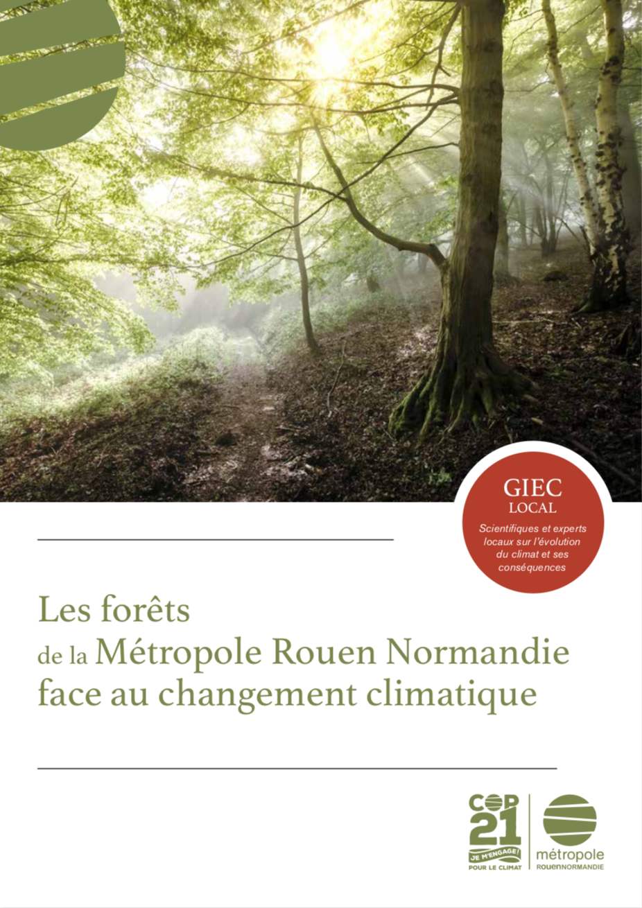 image brochure forets