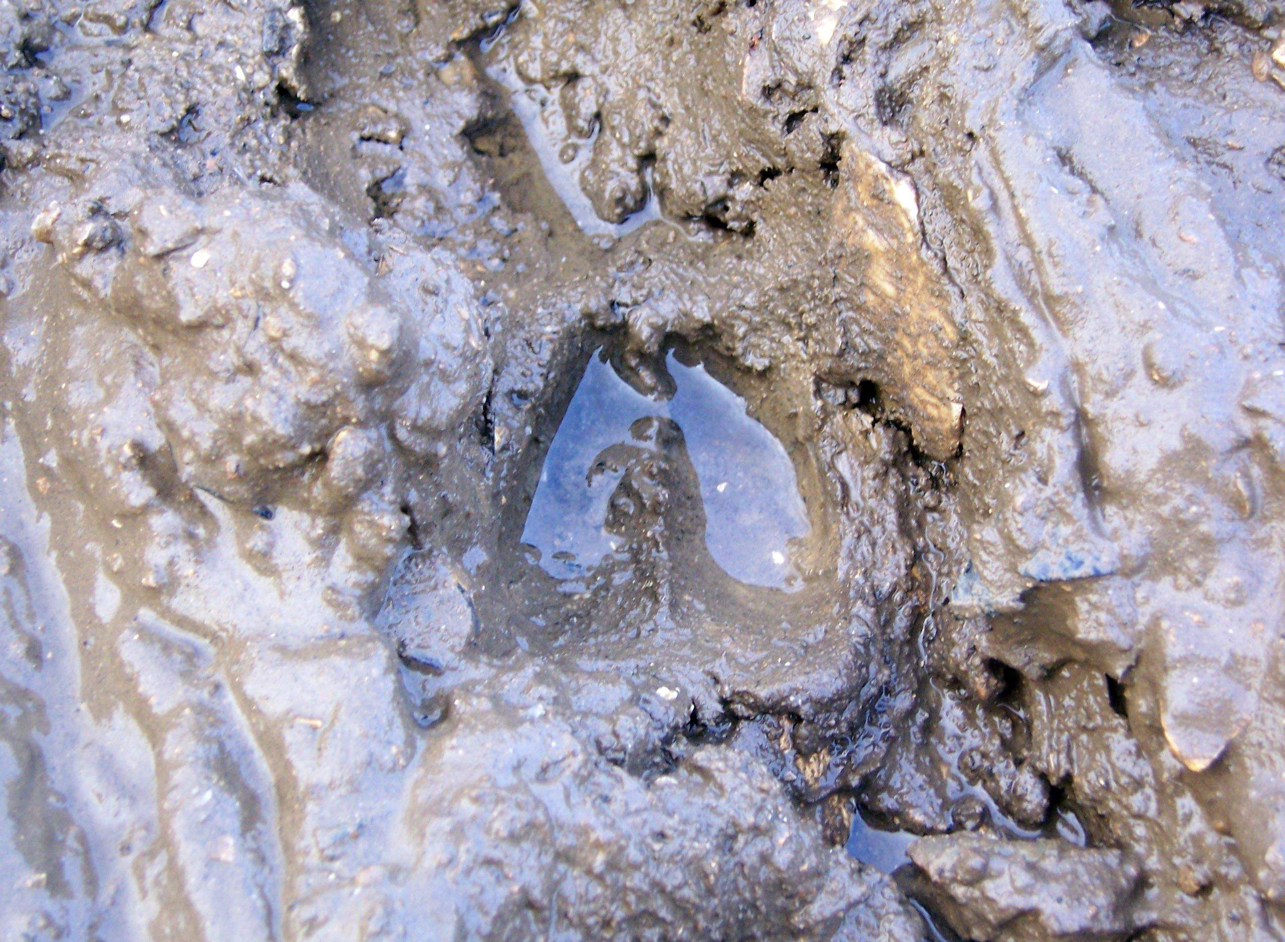 Traces et indices