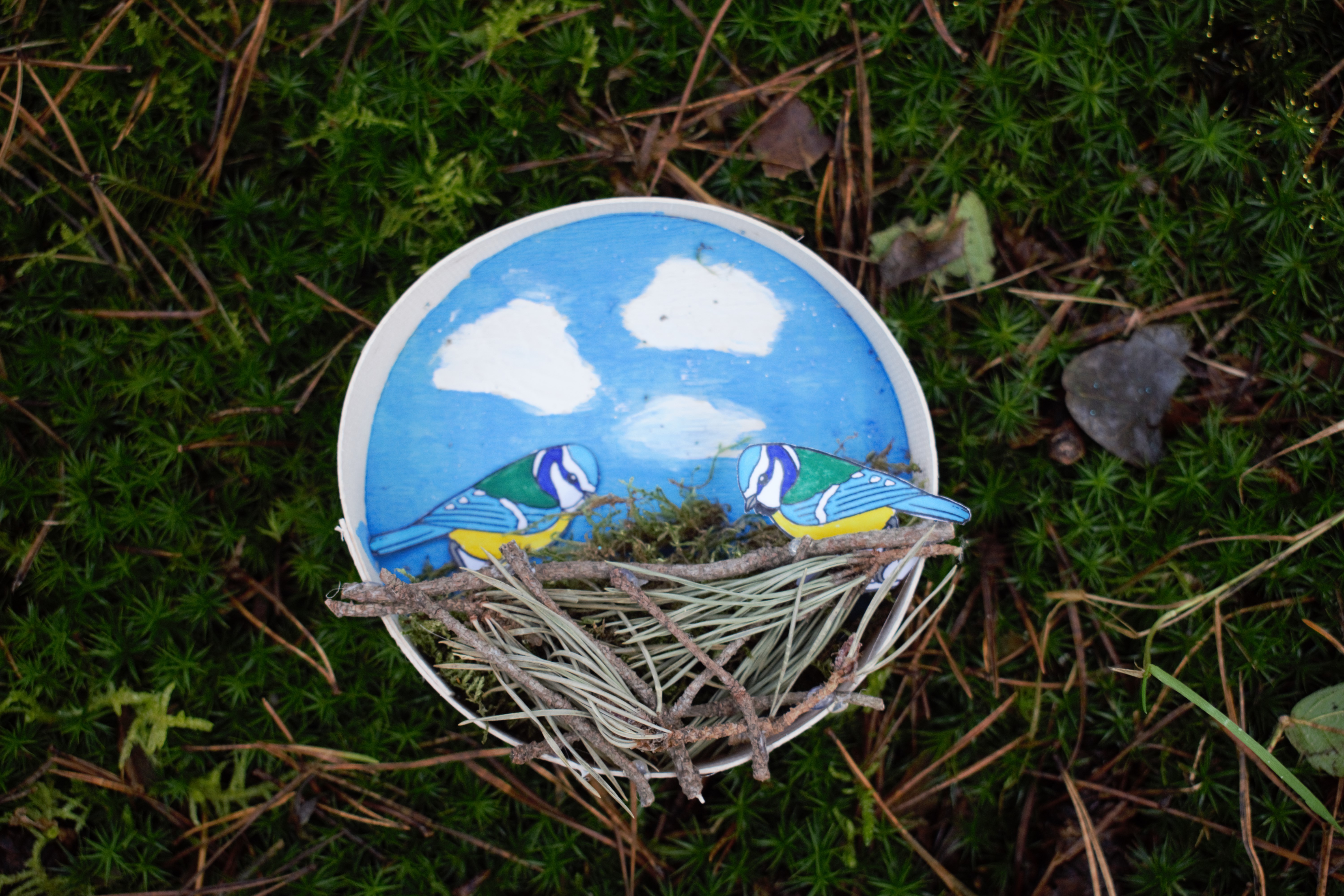 Fabrication d'un nid de mésange dans une boite à camembert
