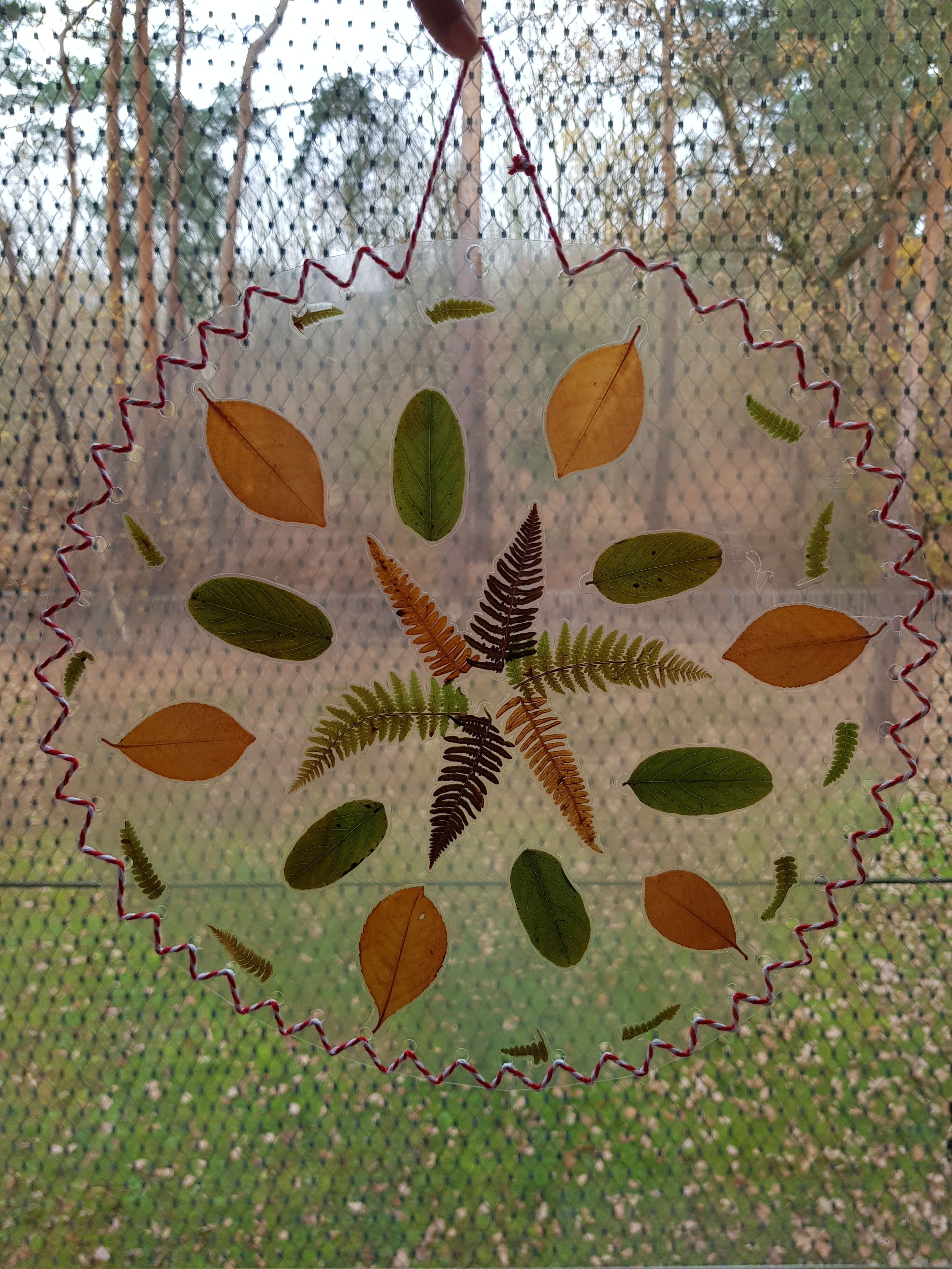 ANNULE - Fabrication d'un attrape soleil végétal