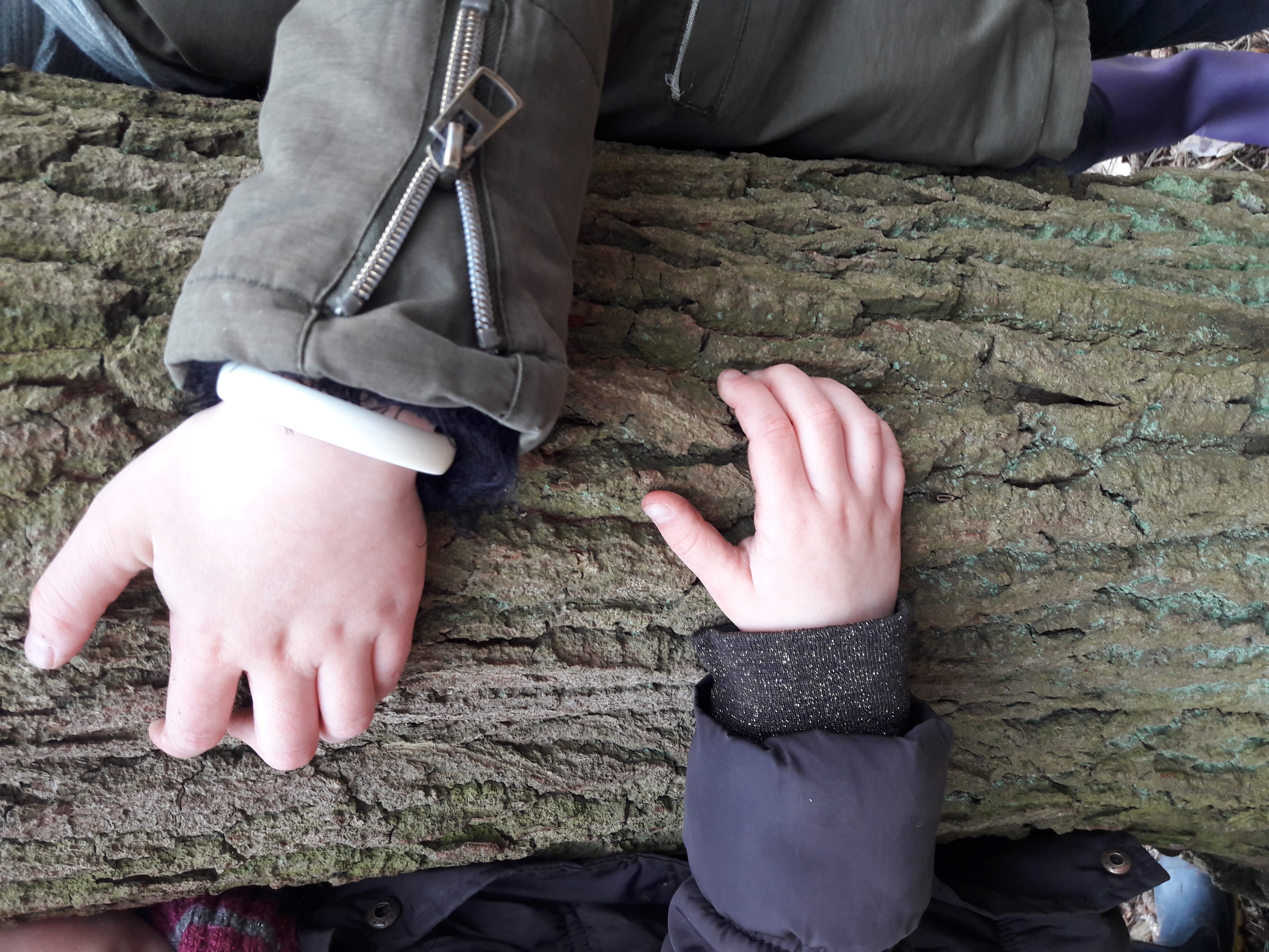 Balade sensorielle en famille