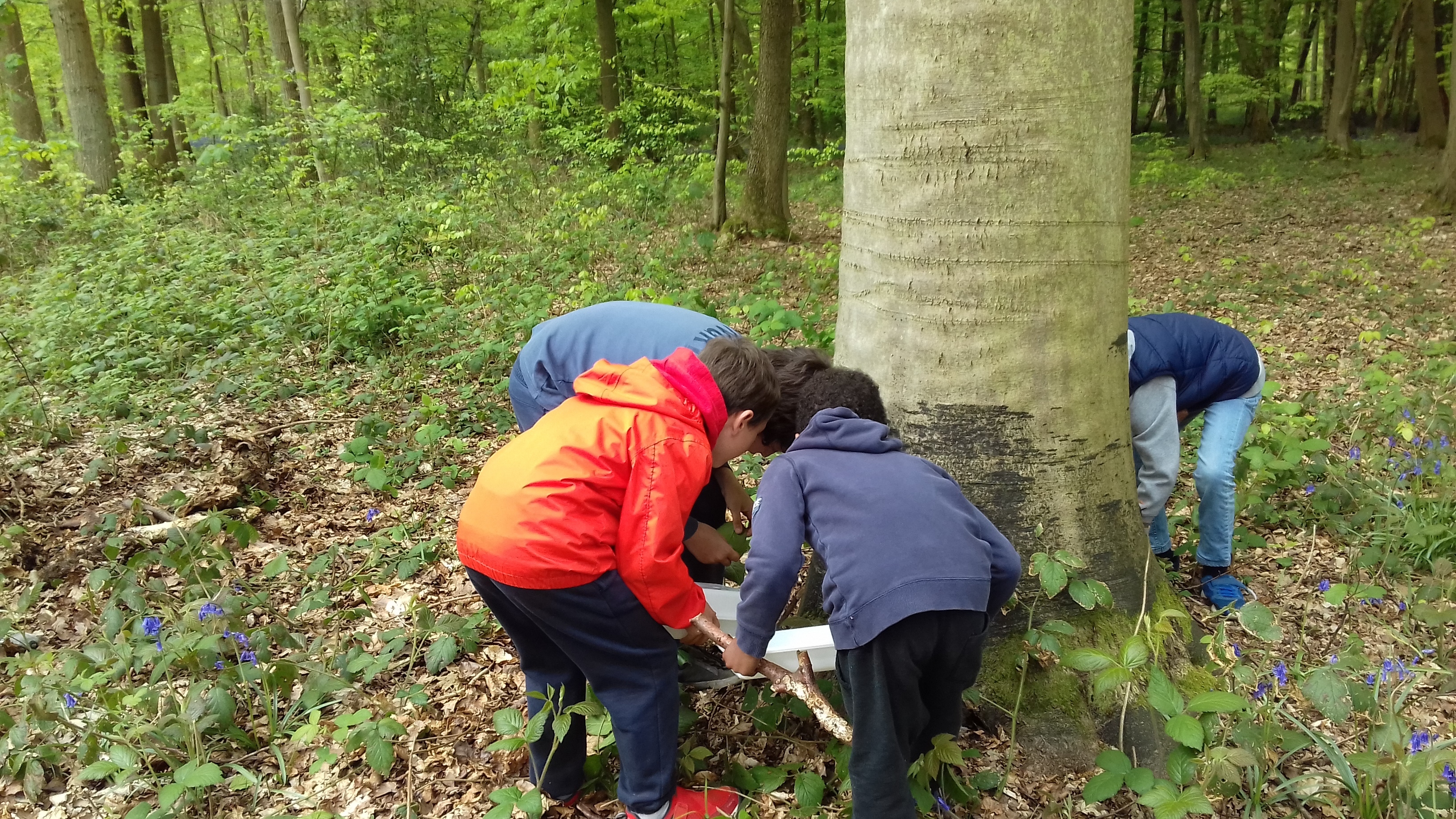 Stage nature : le peuple de nos forêts