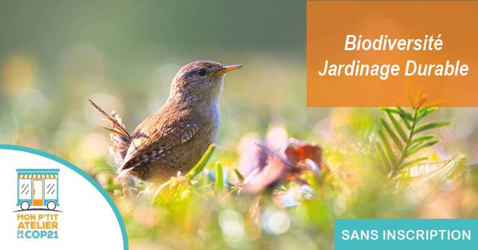 Raconte nous la biodiversité
