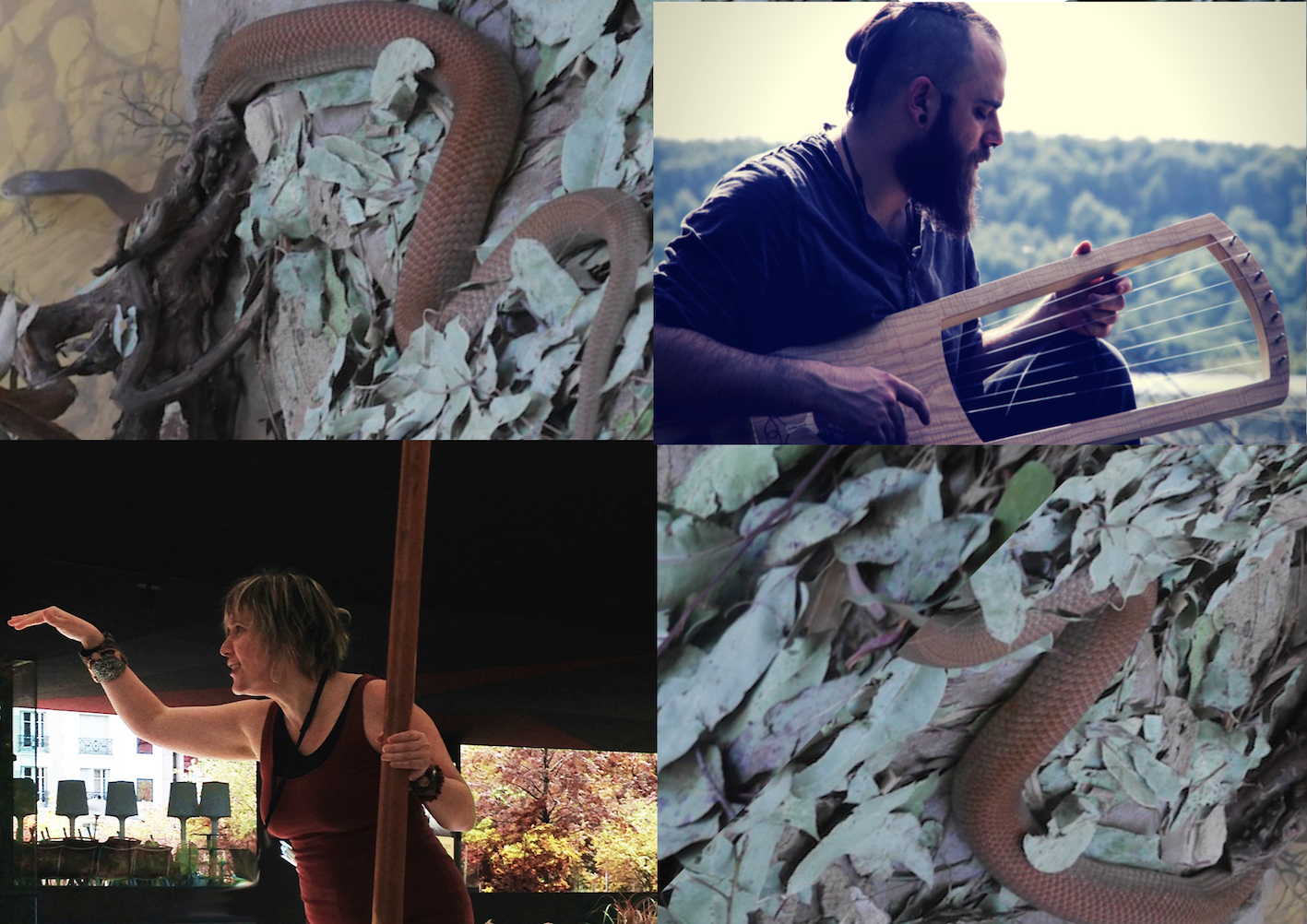 Serpent des Origines