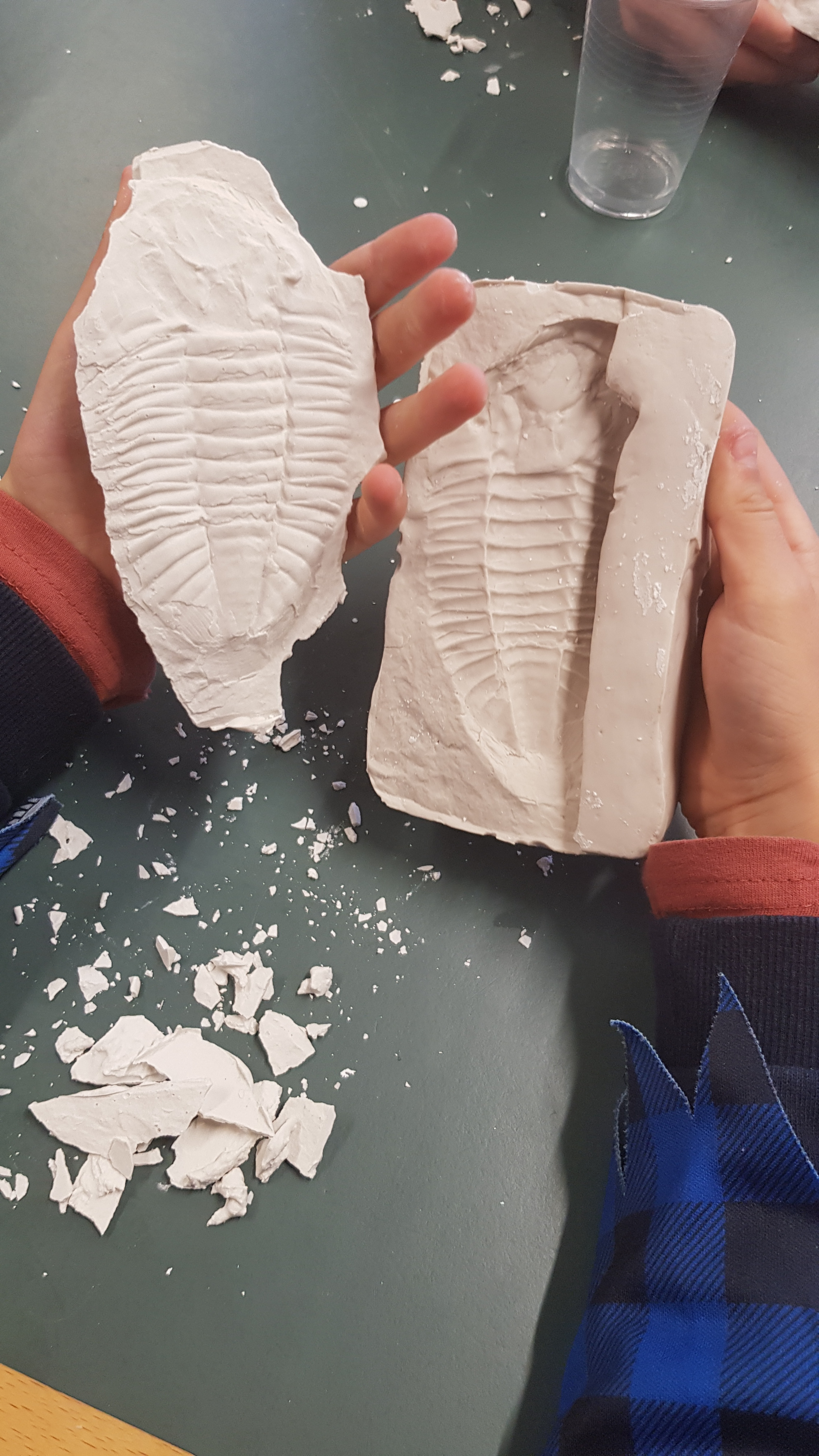 COMPLET Les mini-paléontologues
