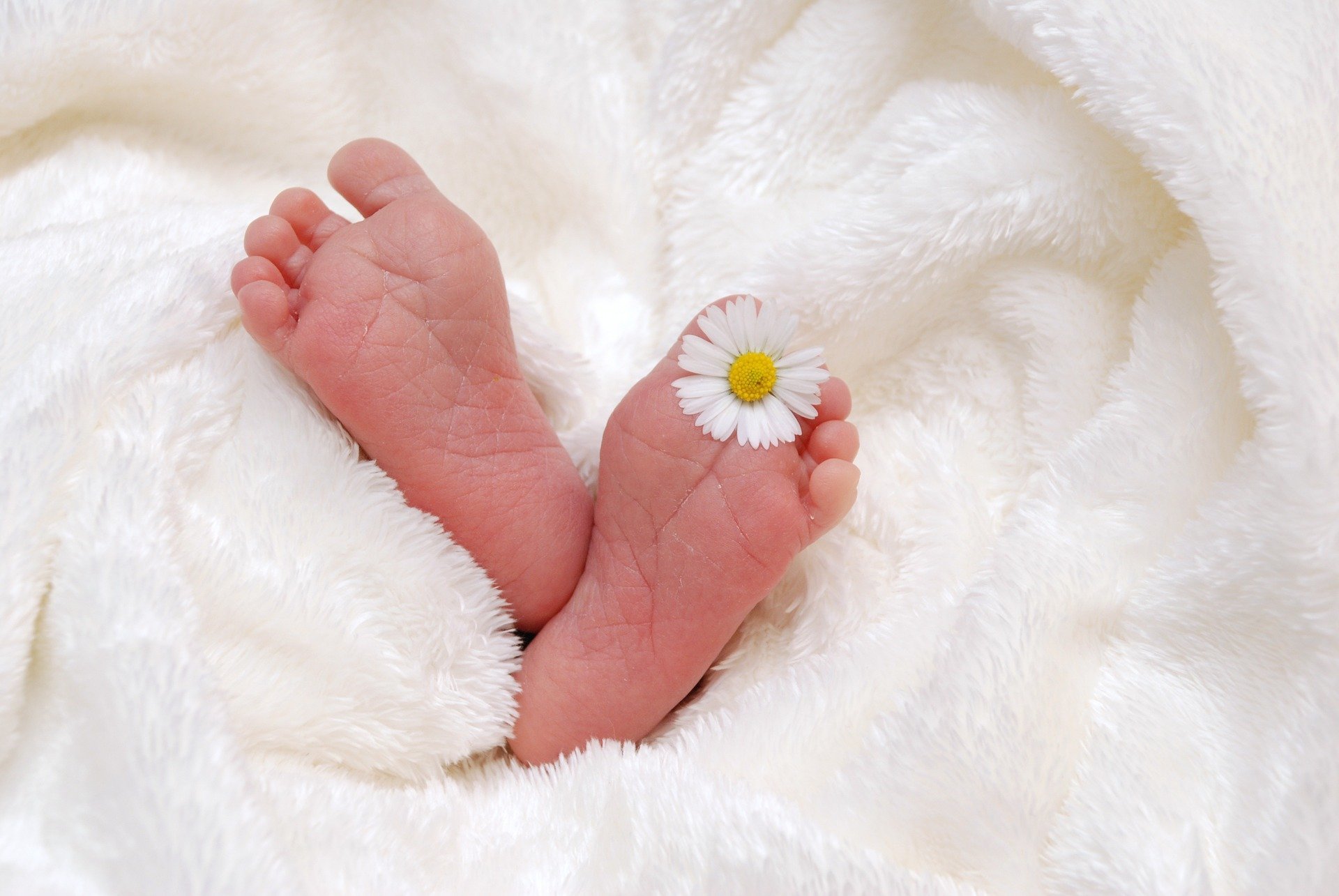 Animation autour de bébé
