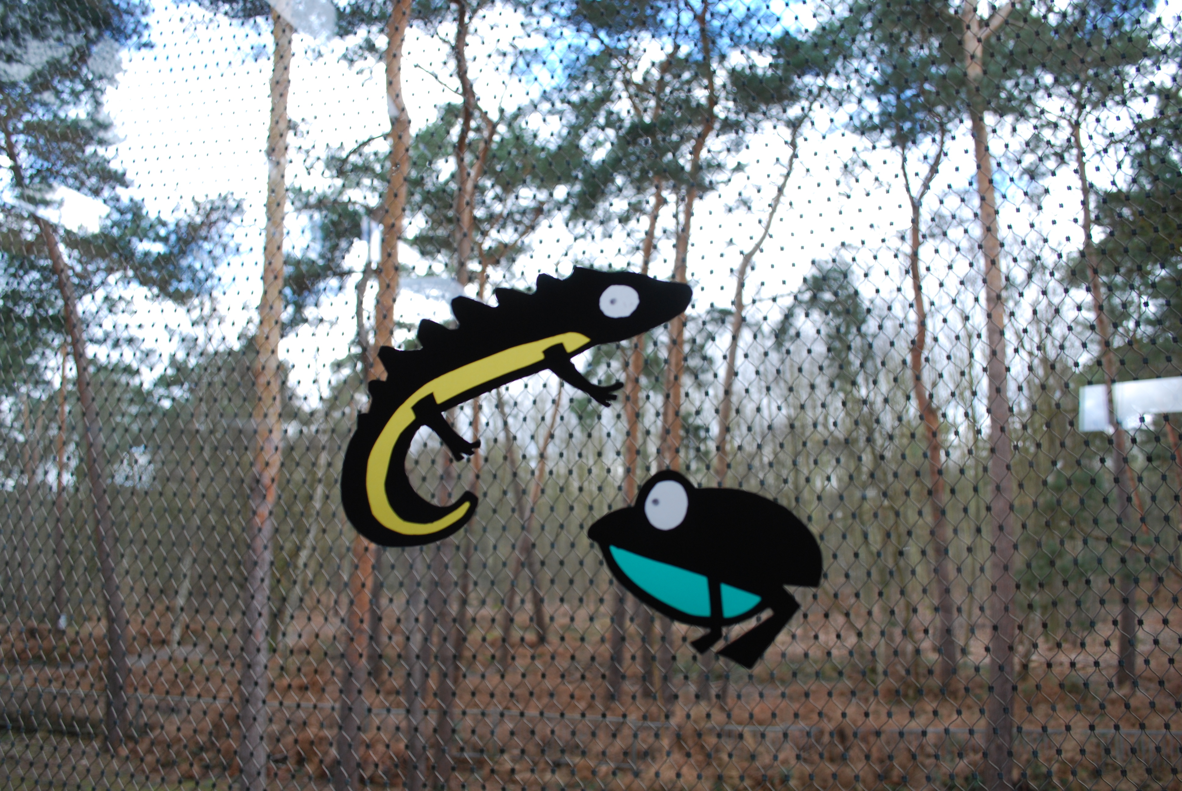 ANNULE - Fabrication d'amphibiens en papier vitrail